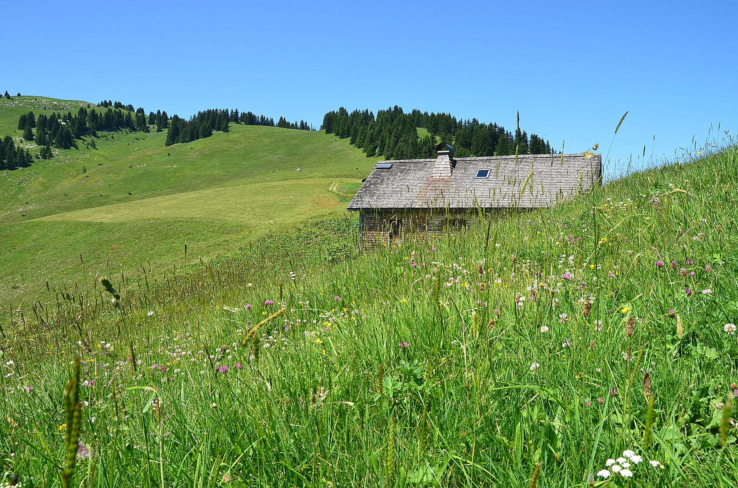 Chalet Chante Merle Activités