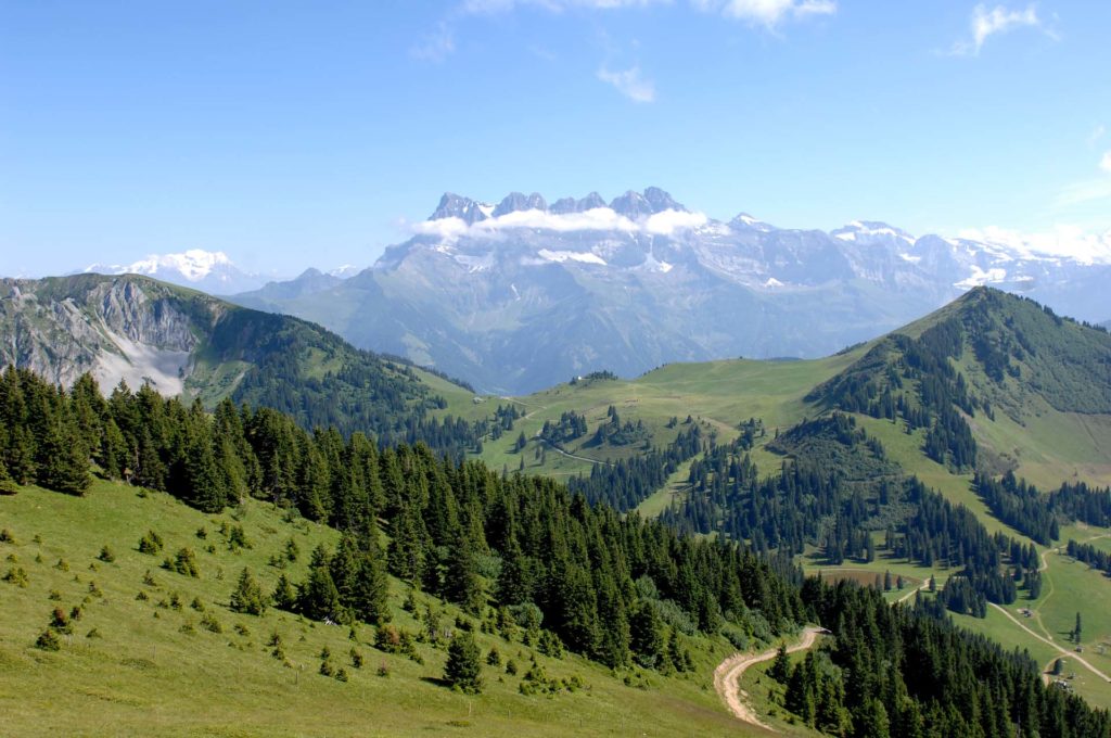 Chalet Chante Merle Activités